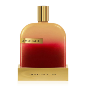 AMOUAGE OPUS X MAN EDP 100ML