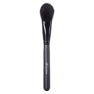 elf Blush Brush